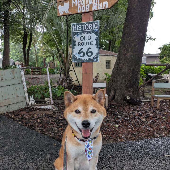 68719d54 482e 424d b4d0 e07faead6418 1752580533879