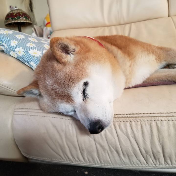 687205ab ebfb 437e b228 7e37a6490d9f 1743911954773