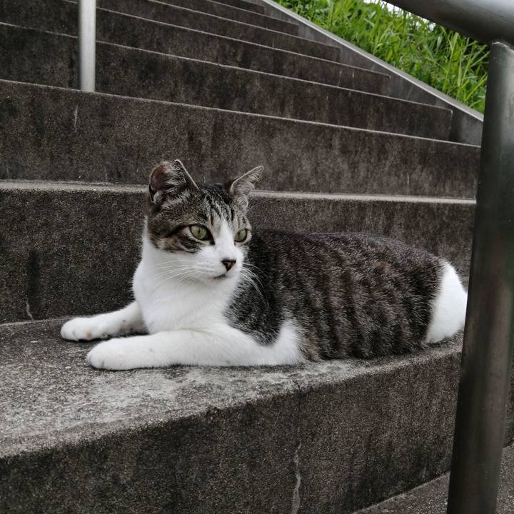 68729a9d c469 4270 8dfe b7de8936da09 1624696761293