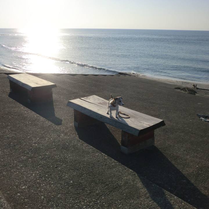 6872d7a2 cac2 4e90 9ade b2cc3b0faecd 1551881456756