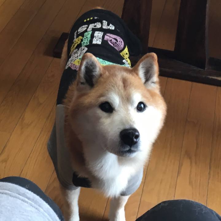 6872dddc 3c8e 49e9 a40e 6c9c982ef4c3 1534895939203