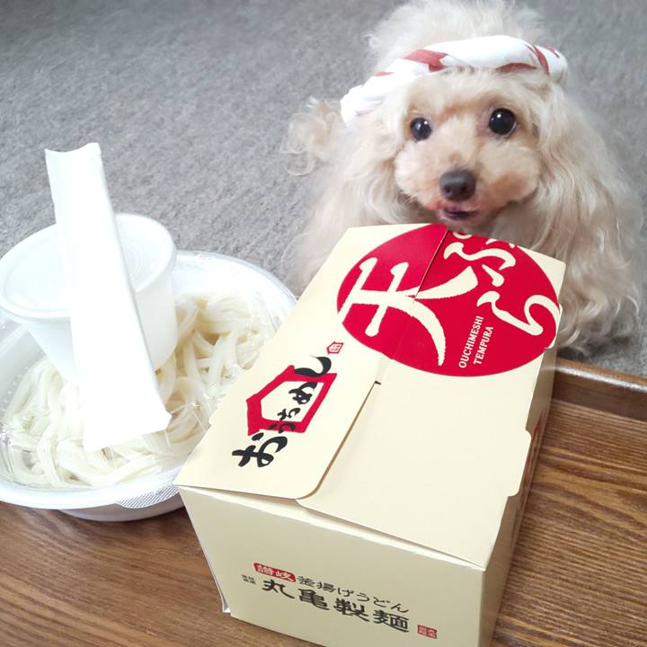 6872e1e3 929b 447b ad42 7767a60880e1 1592542381320