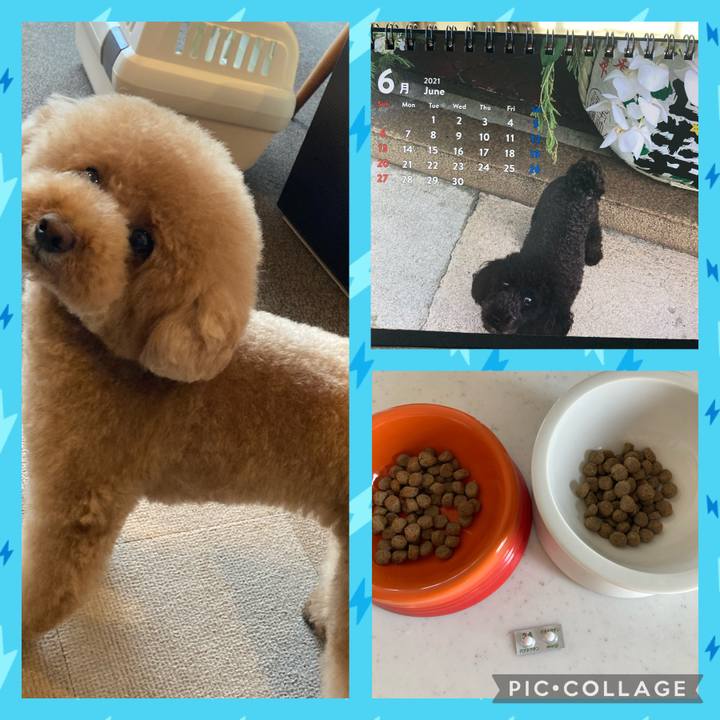 68730131 a990 40a8 839d 336b162cb336 1622535208343