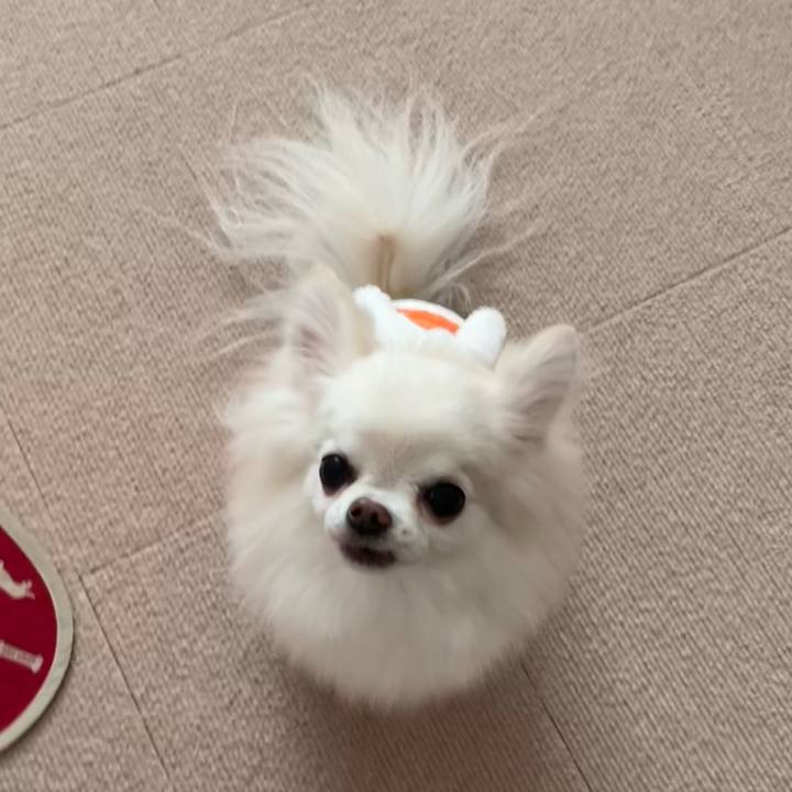 68731459 34ac 4d70 b636 419e758753bd 1639908145741