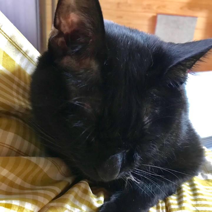 68731540 0d9f 475f a8fc 0c7f2a4734fb 1551488404810