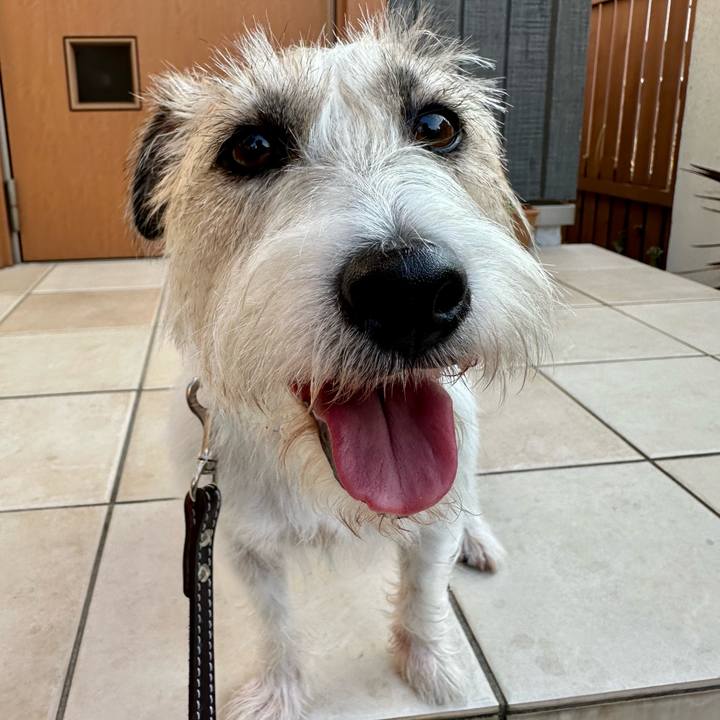 687342ef 5e0f 4727 8daa c859e80f583a 1755765851186