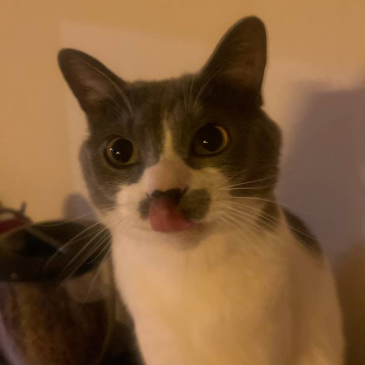 68734366 5187 4de9 bf58 15d7b146a476 1738598262516