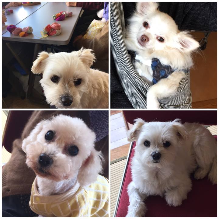 68737312 6edc 441b b217 50574298e700 1545994156711