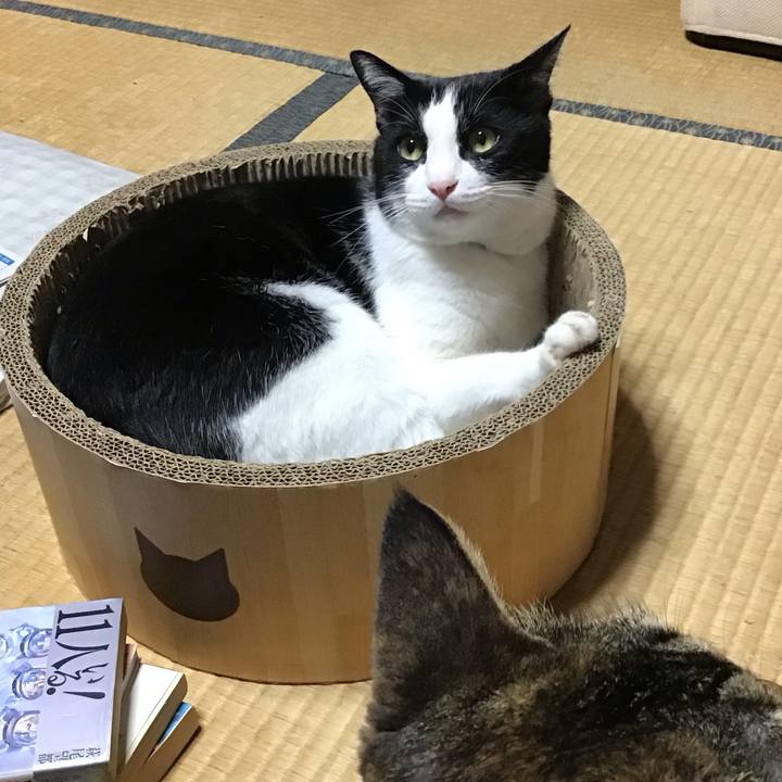 687380cc be41 4153 984d ad77bc98396d 1724920615542