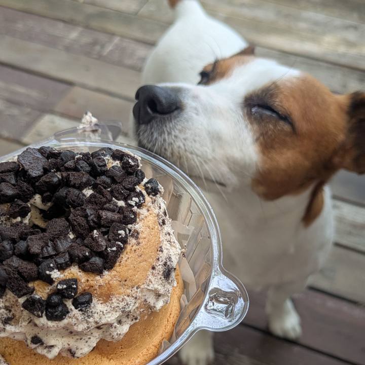 68739b76 b50d 46f8 bb55 619bc2184d46 1758960303193