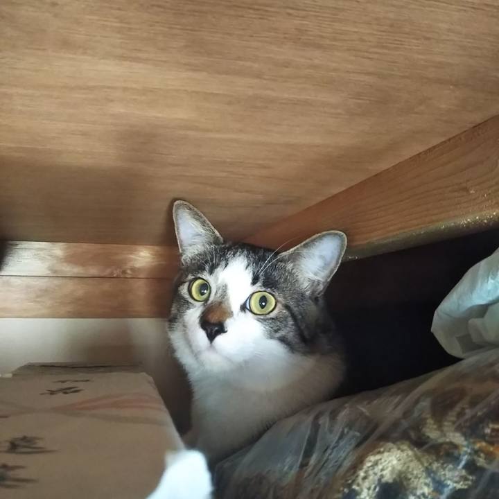 6873ad00 8f22 4aa9 b052 836da7b730ec 1686836485026