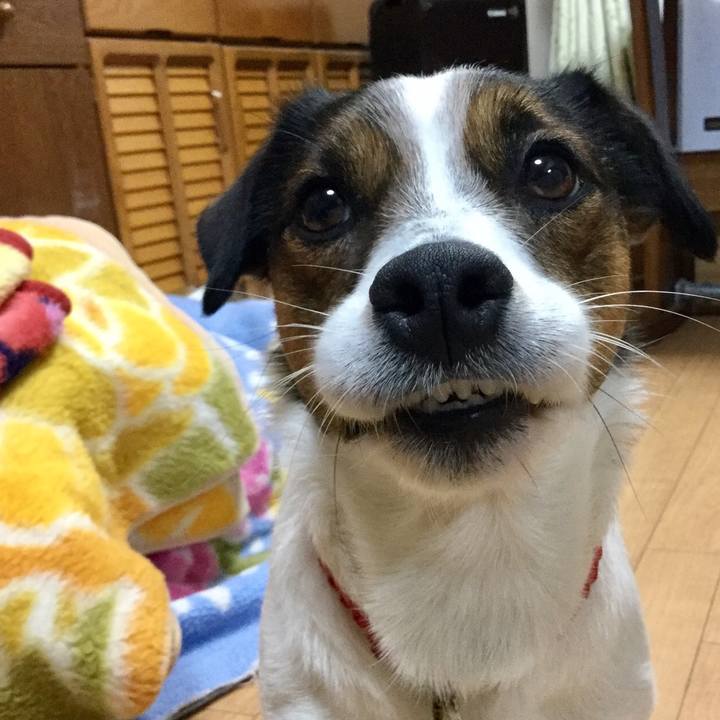 6873c0da 48e1 49ed 8c43 5c23ddee8698 1551304923191