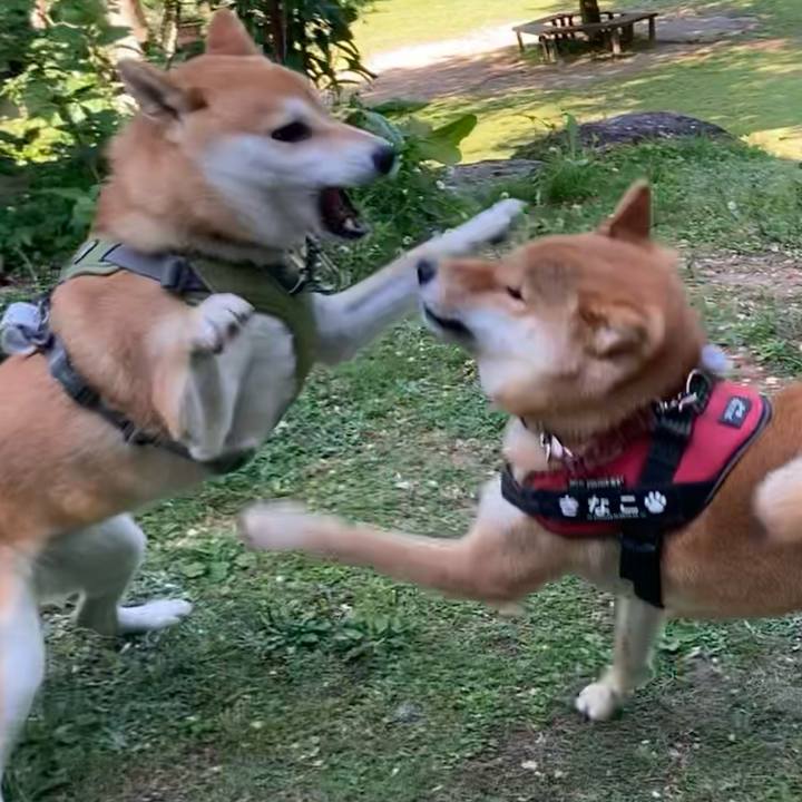 6873cc22 bc8a 467a 935d 9171de62b41e 1657167691436