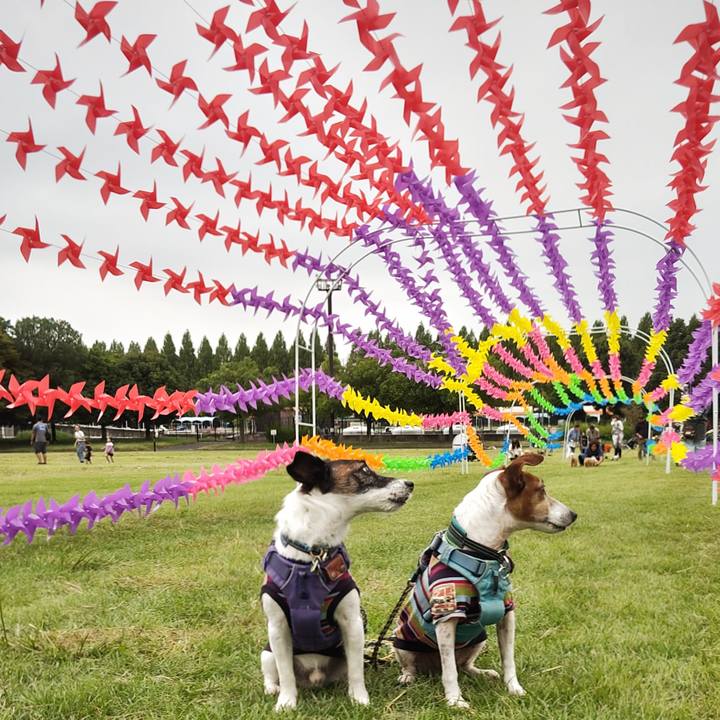 6873d694 e660 4c72 b244 751349abb2e3 1758355437694