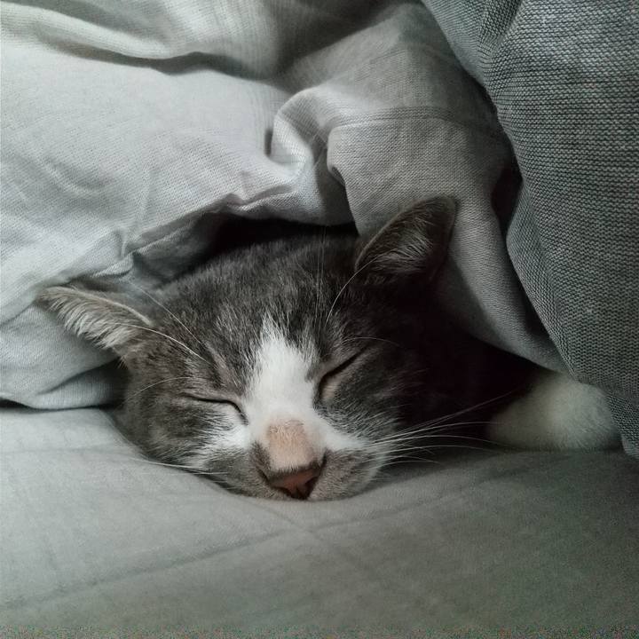 6873fdb5 e8d2 495b 9896 91dcce375b49 1603417493190