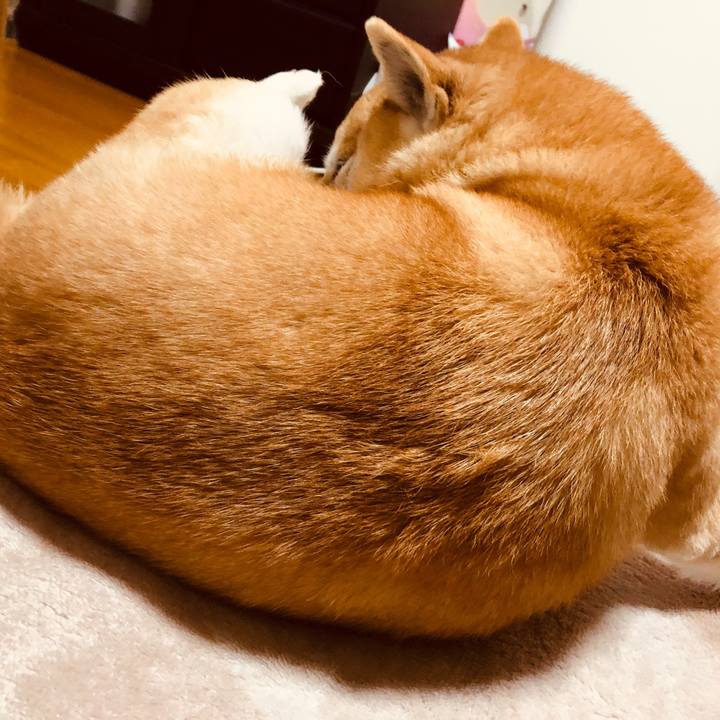 68741520 6bdd 4b28 80d2 6c414bb0ecda 1580473289839