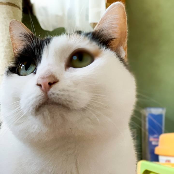 687441e6 54fe 4355 b1de 436694ab8c01 1547515411368