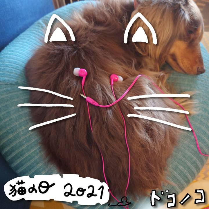 68745721 b06d 44bf be41 52d992f0bf21 1613961850304