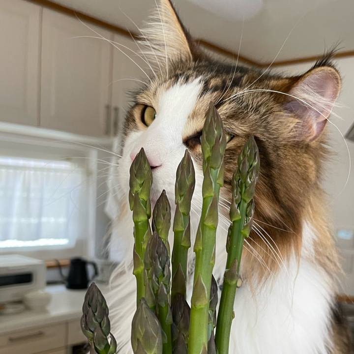 687474a8 84c4 4d4f bcdc 1f1fe677a8ac 1650687824102