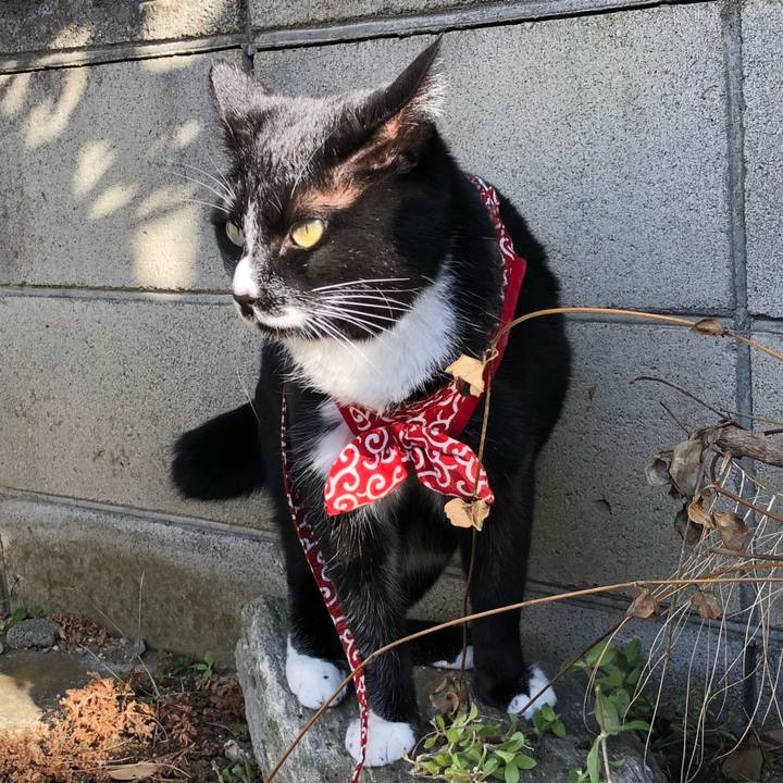 6874bb91 cefe 49da 8033 a36d1a1396c6 1583205635445