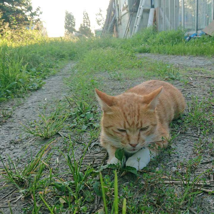 6874f0ee 43d6 4ea5 8231 be4a2f6a326a 1597914234180