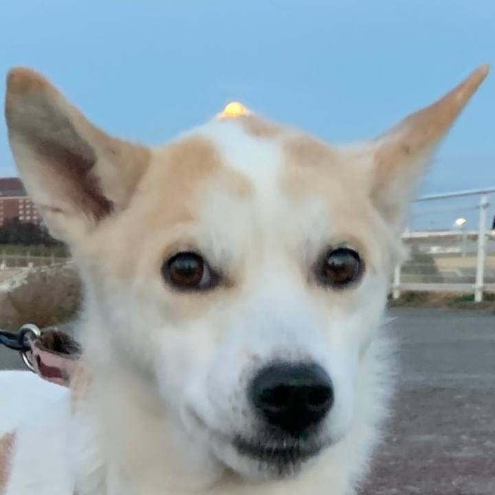 68750265 99a7 4ba2 ab6a 278e02a5ef3a 1717929177595