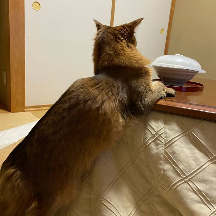 68757e75 1ff2 4d5b bb7d 48fa47c1a6e4 1642681220952