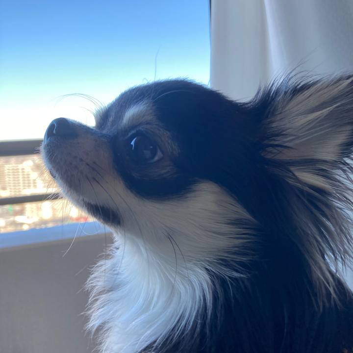 687580e0 cb41 45fa bd3a 09bbfff78666 1608943576879