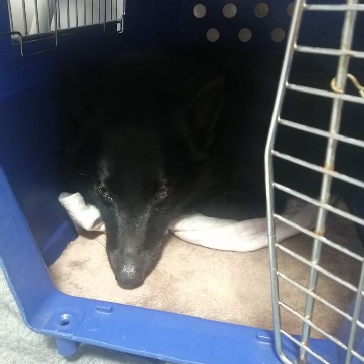 6875bfbb 1d0b 411e be62 b83dfc45d40b 1643592975399