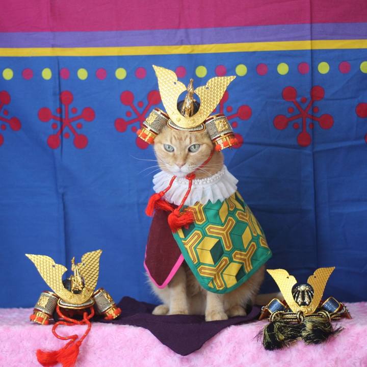 6875e78d e395 4799 bd1c 3156737a771a 1651497273308