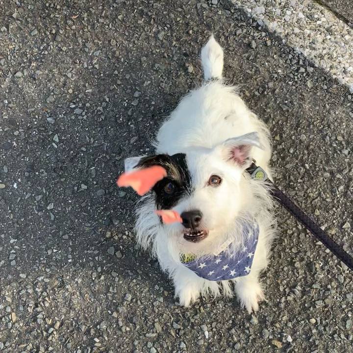 68762262 f939 4003 a9b4 6247310f9ac8 1659517231815