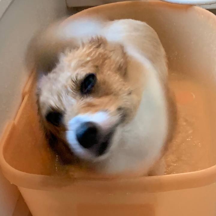 687638b1 4355 4163 9c39 d29c76c8b78d 1562151319935