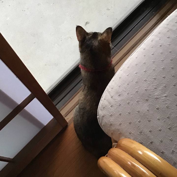 687663a3 9d0a 4c30 90fa 0a1d4d36944f 1599986381472