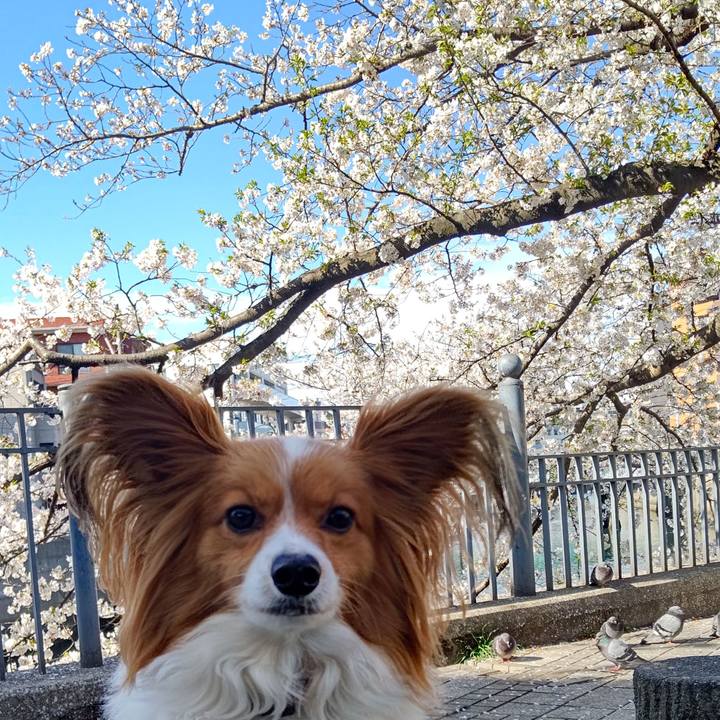 687665c4 3f32 40b1 a5af d7fda2fa15c6 1744025633687