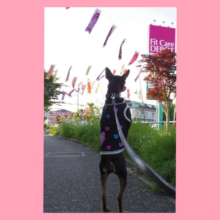 68767860 a90d 4323 b52e 3b4b59888935 1746345387898