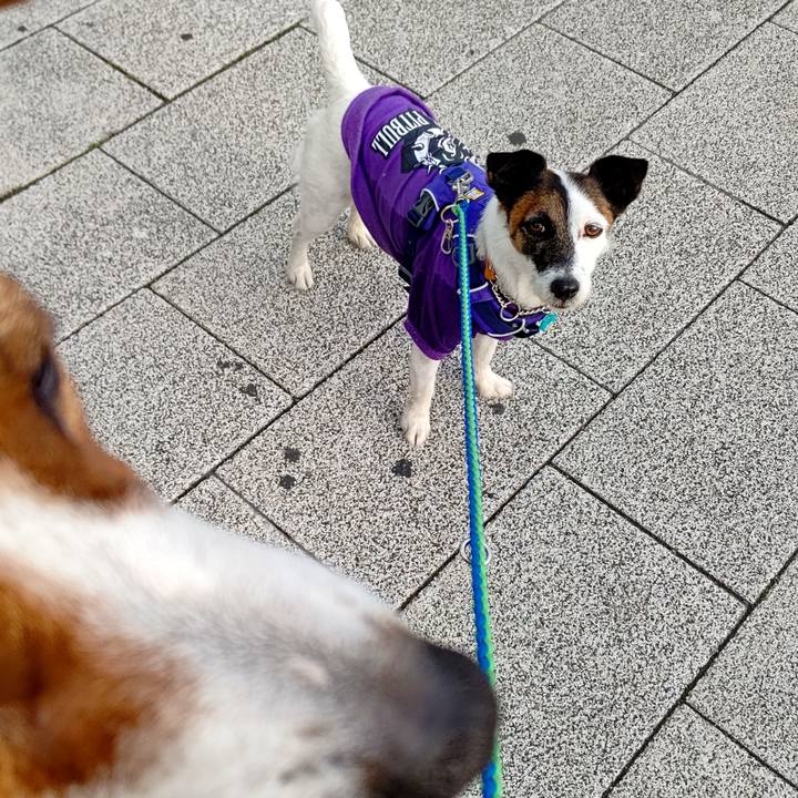 6876943a a83d 4e4b 8d07 6d2bab08f665 1620032749562