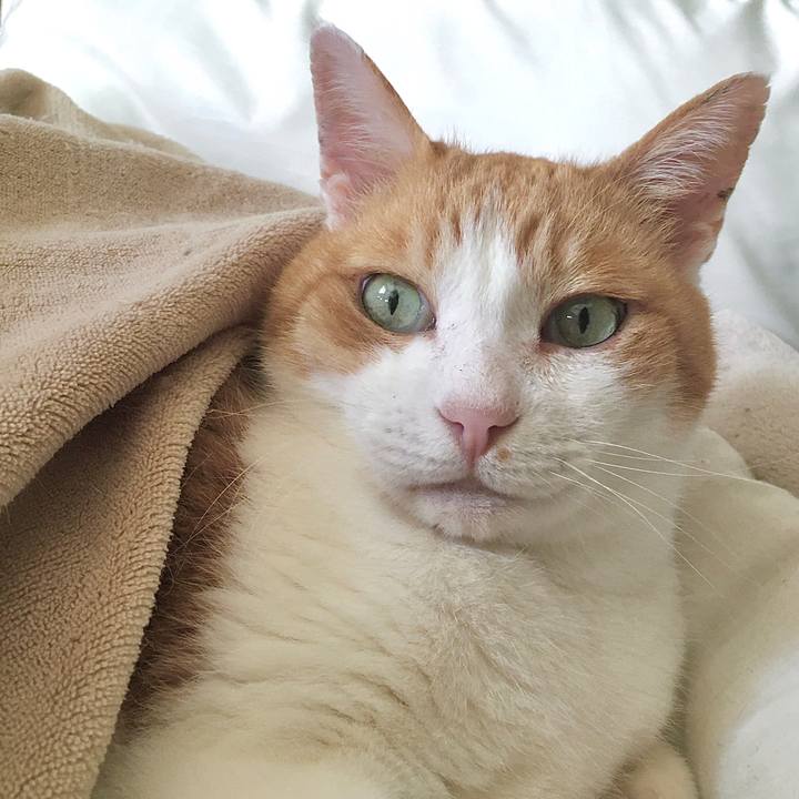 68769d45 bc4f 4062 b568 f114f119e202 1585972115918