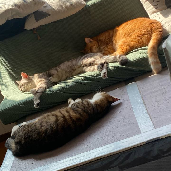 6876ca8f 1b5e 49ec b472 44650c84f6b7 1663547876377