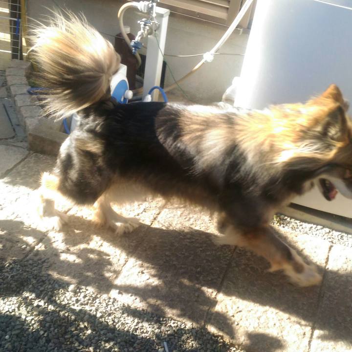 687703cc 5614 4e70 b87a 7461de975350 1559564439519