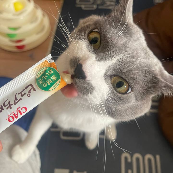 68774325 8d56 478b b6fd c5826e06b603 1700204721739