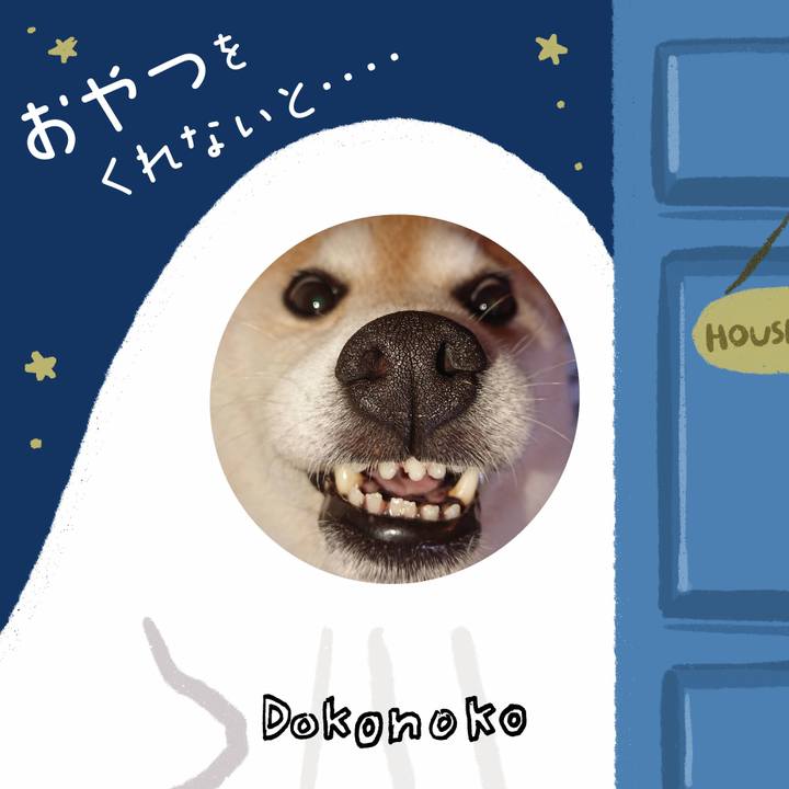 68774859 da44 4a6a b286 c70bd1177a97 1729209377862