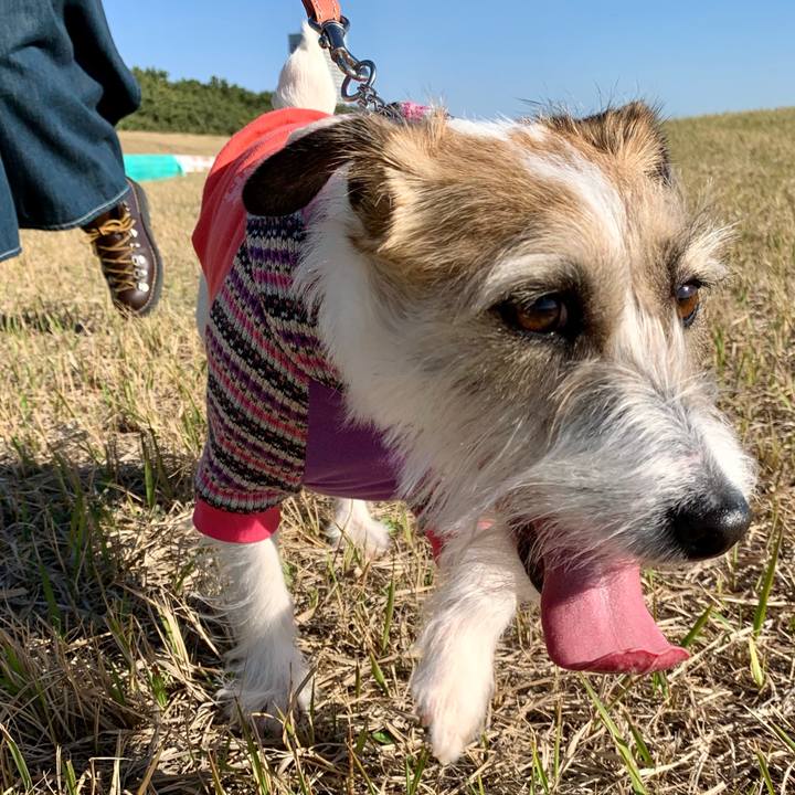 68774d06 8c3d 4beb a5a0 e37eae2ea5e0 1679223810424