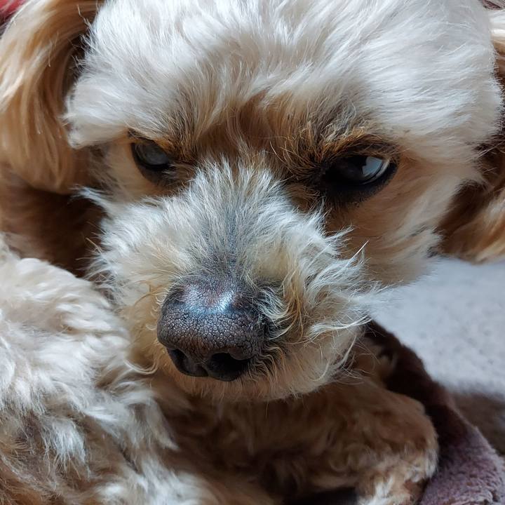 68776e59 9f3f 4817 8be7 b42a25da8f99 1647093303376