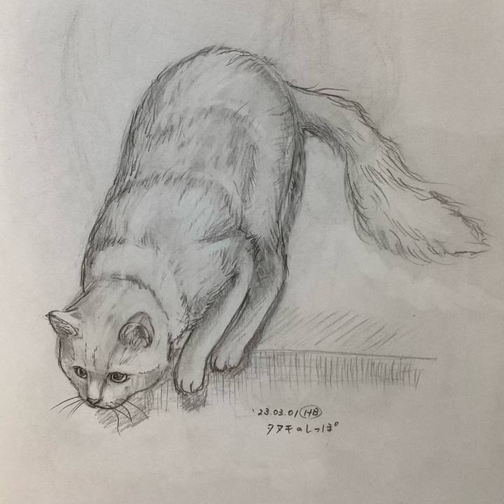 6877a6a2 3361 4382 b0b0 10d4a6aff11d 1677842382771