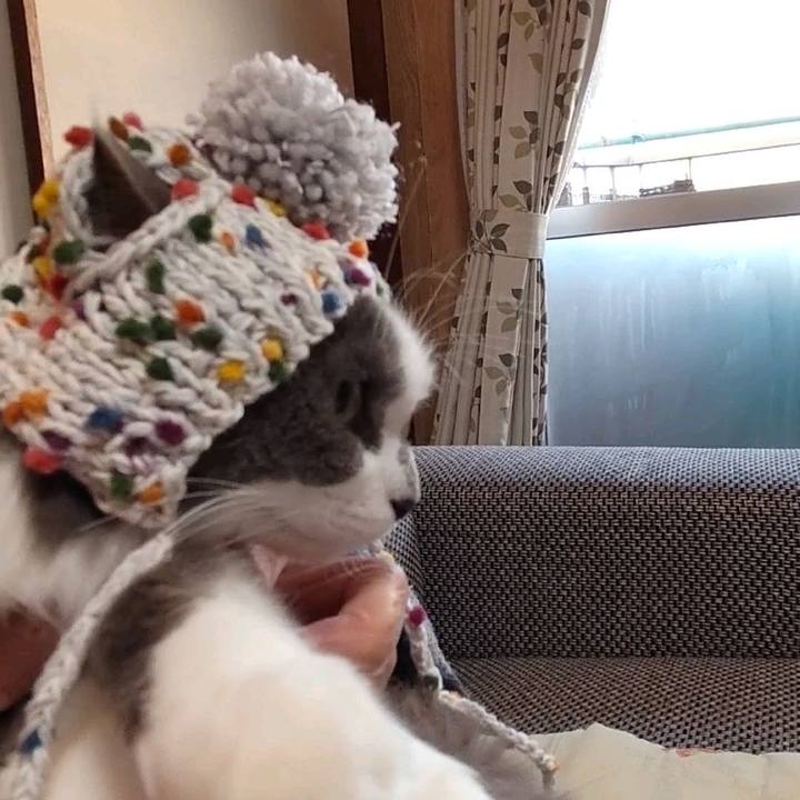 6877c11d 4929 4ea7 9ebe ca8efe20d6c8 1671089582666