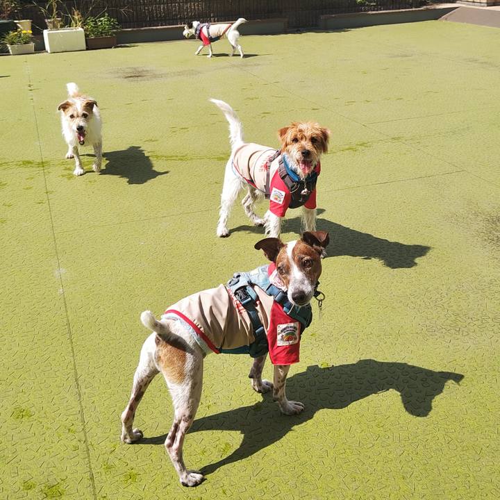 6877eb84 f710 4c72 bc68 b58c6bef7ce0 1726753711468