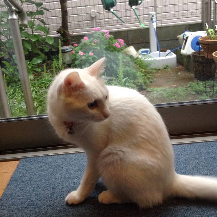 68781abc a991 43e4 9d26 9cab2b6326a8 1630532305756