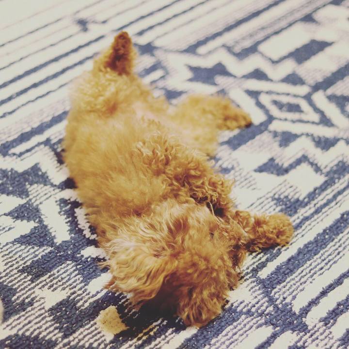 68783766 cb2d 4d6c 9413 22606e4aa334 1557323172828