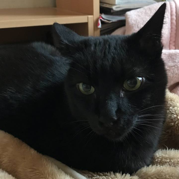 68789667 661f 448f 918f f4ade4c45014 1523317021983