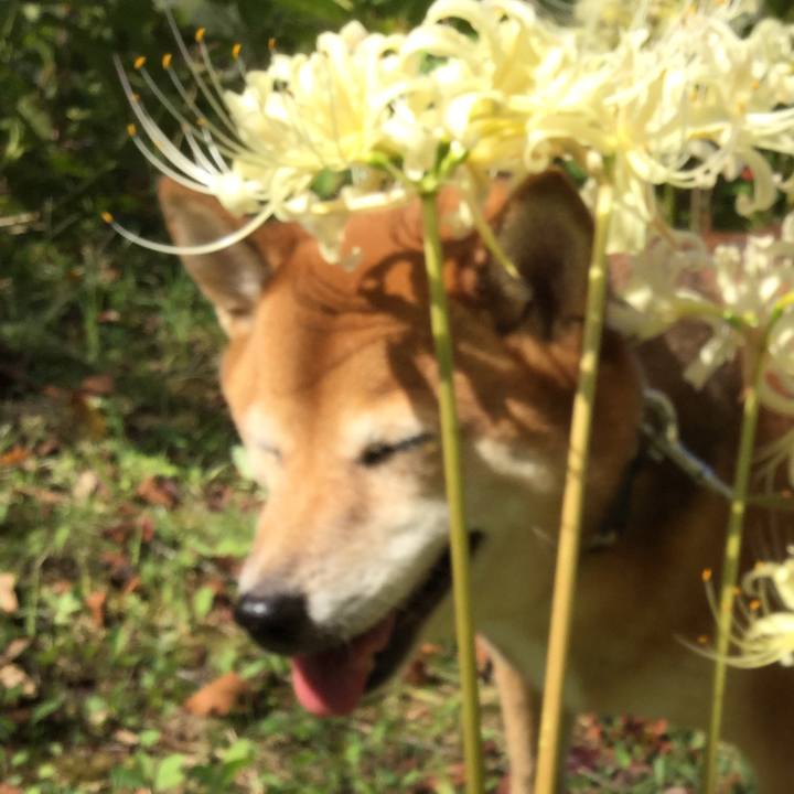 6878b941 1c0c 4d09 832a e17f9f625037 1569561677116